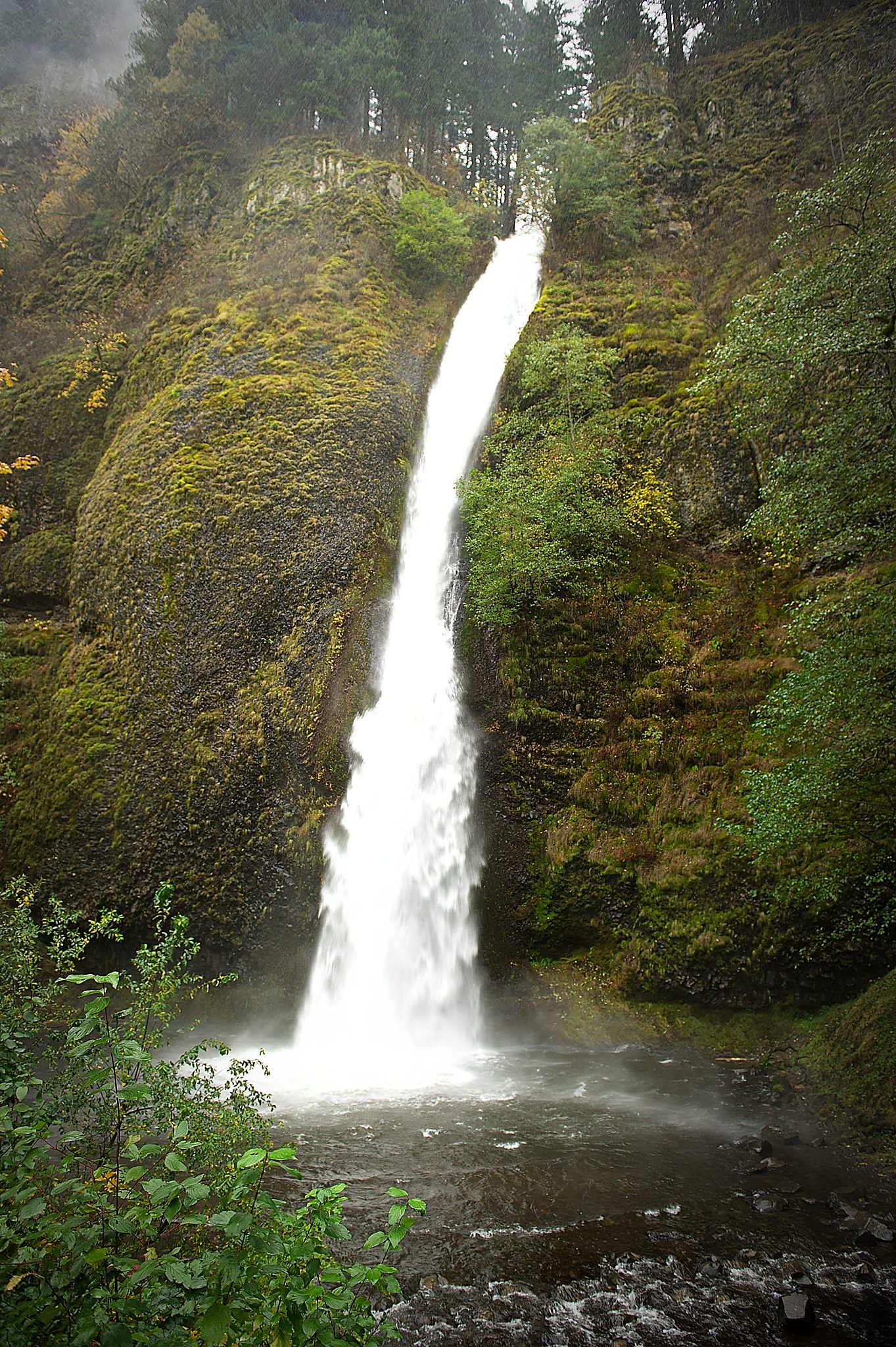 20121101-DSC_2445.jpg