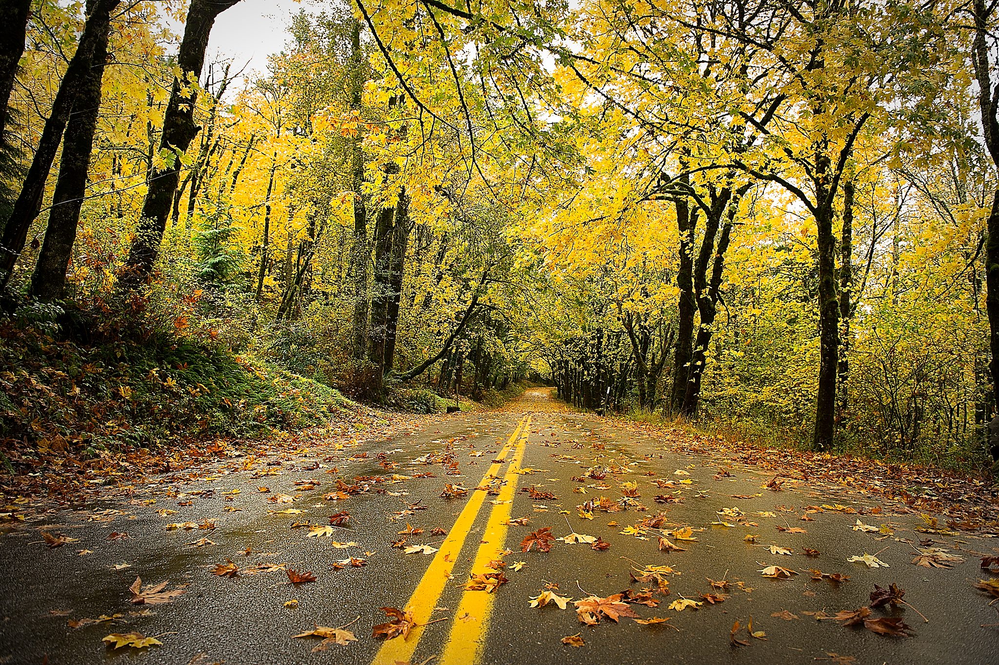 20121101-DSC_2467.jpg