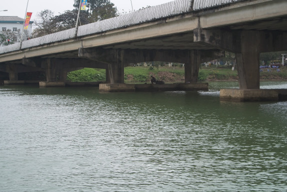 2012 Vietnam