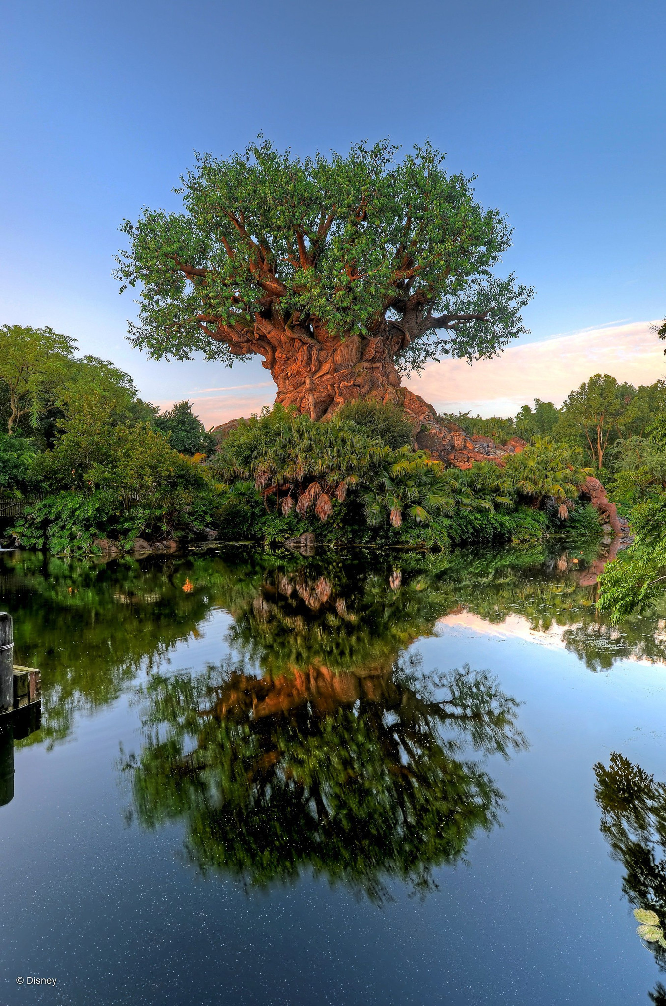 Web-WDW-04-007.jpg