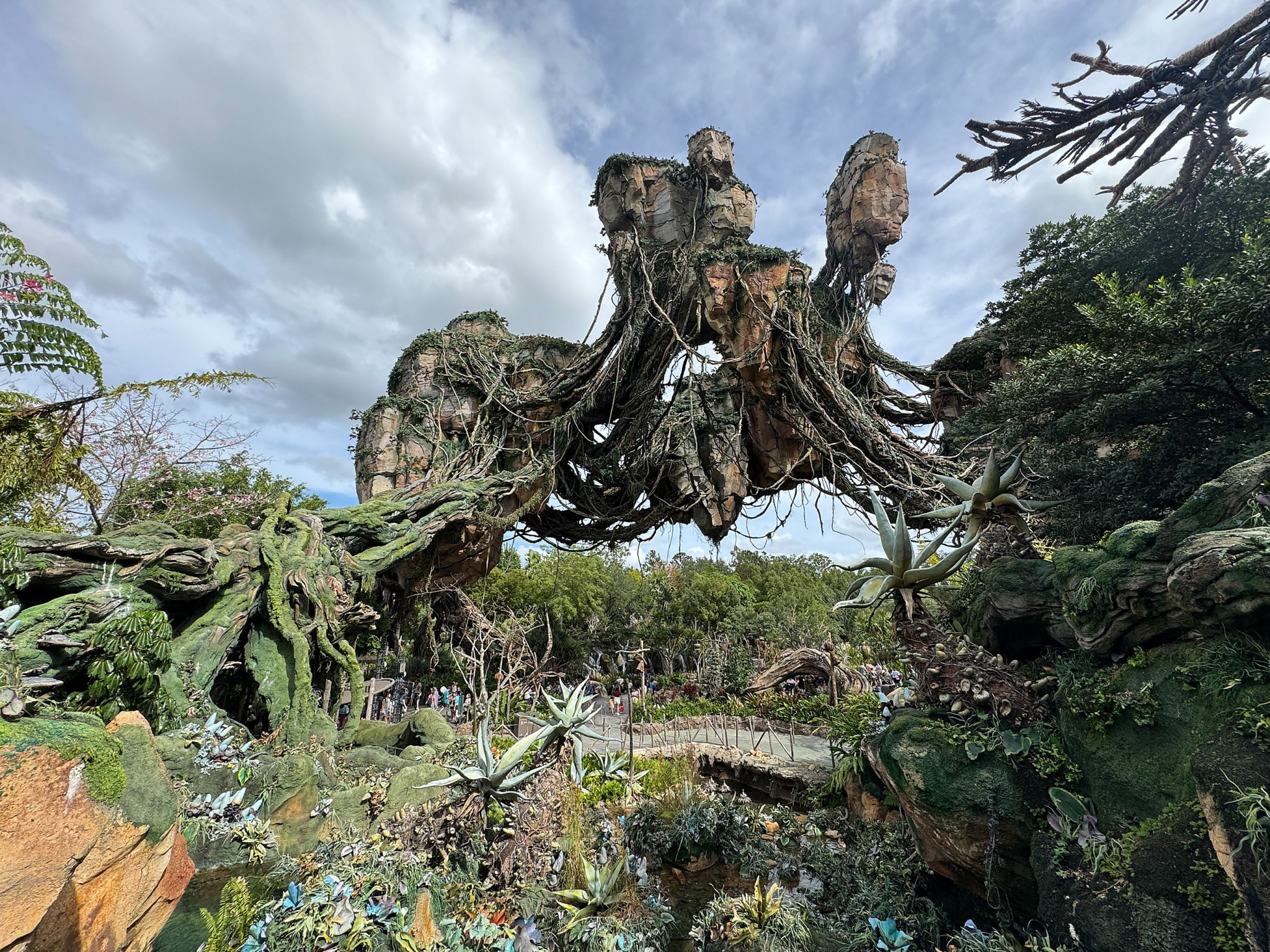 Web-WDW-04-018.jpg