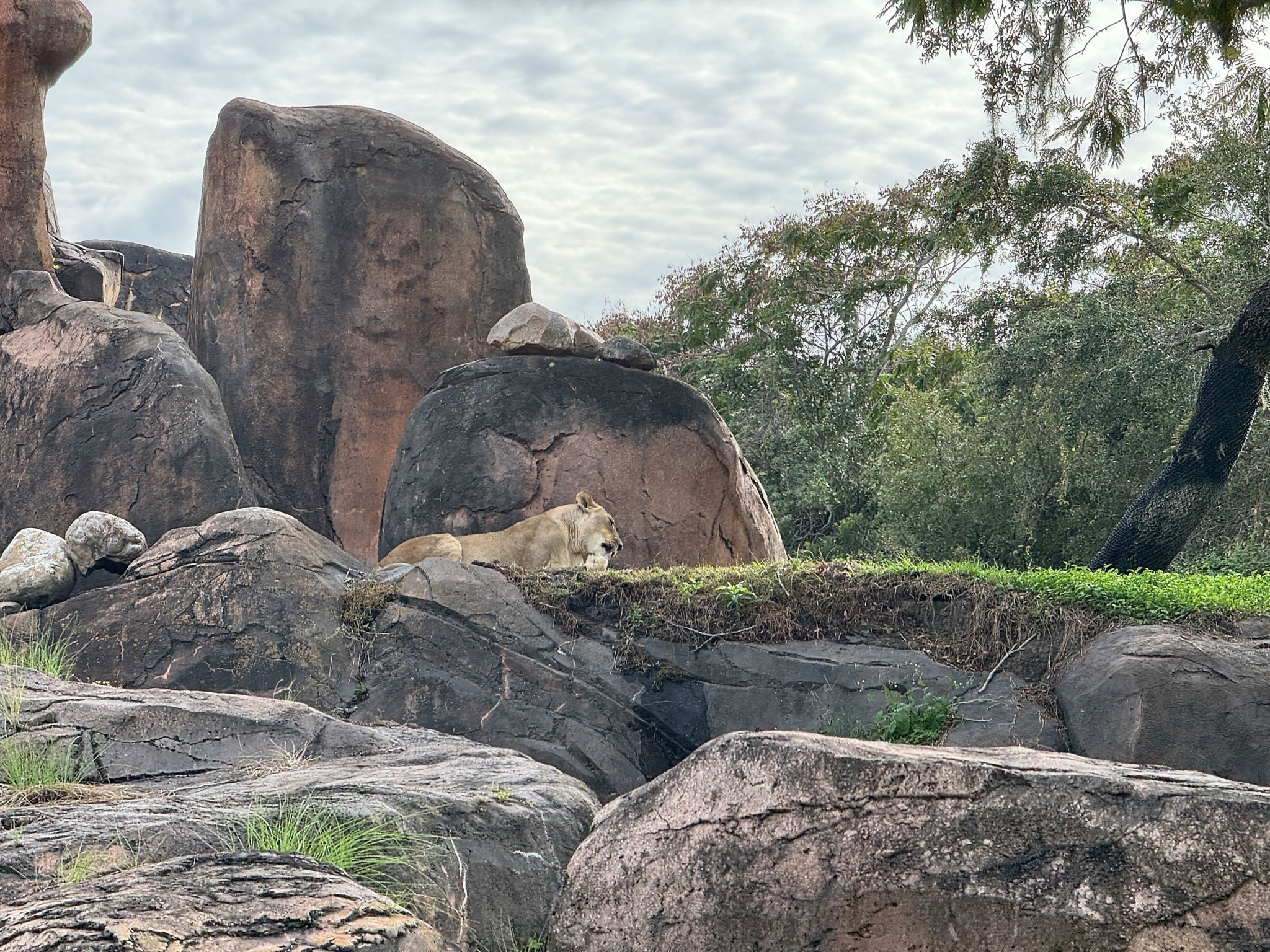 Web-WDW-04-029.jpg
