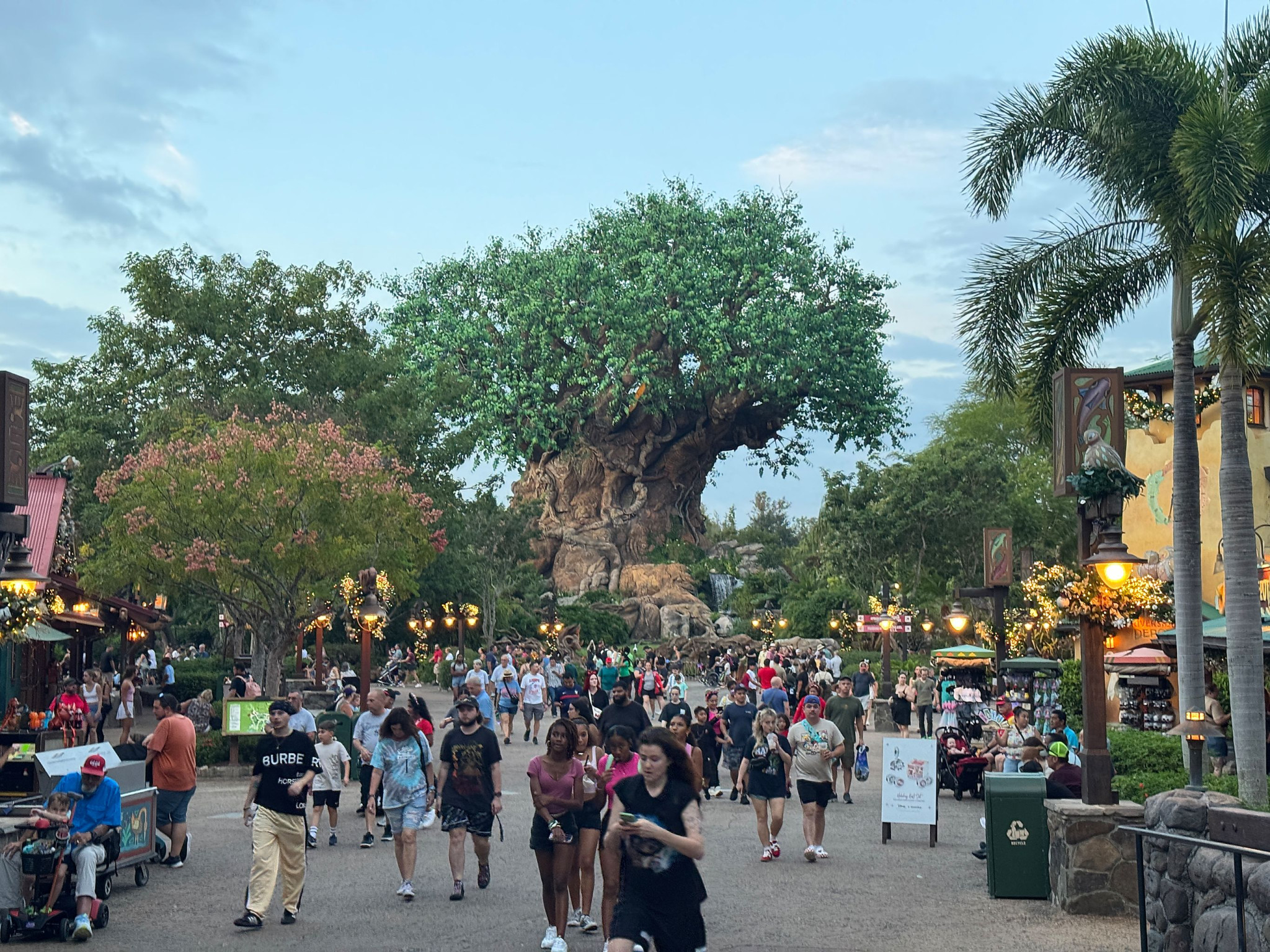 Web-WDW-07-049.jpg