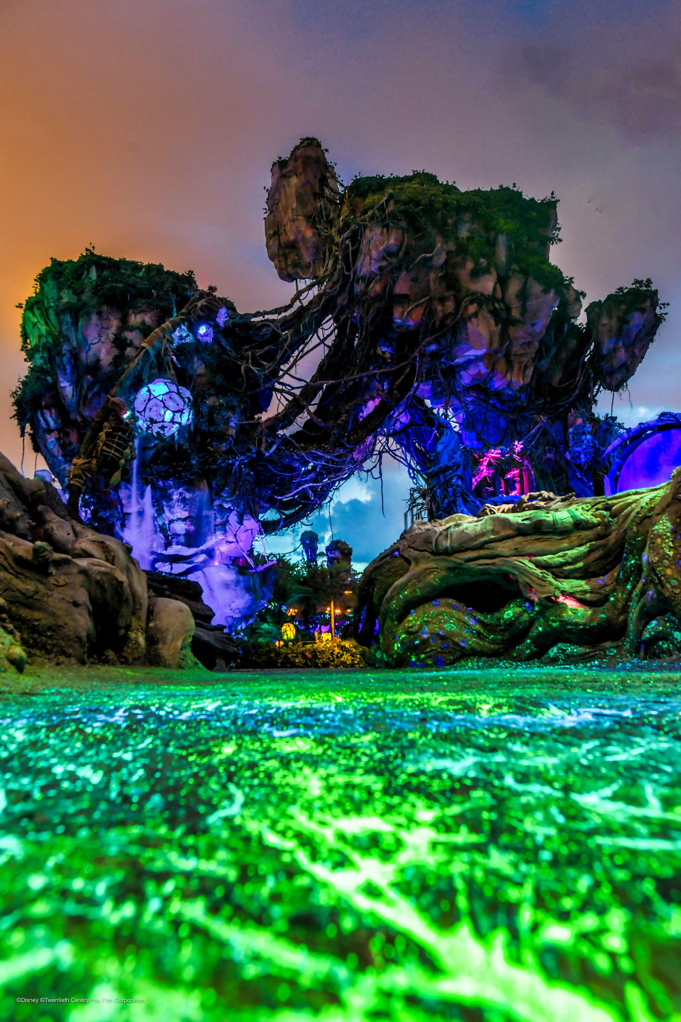 Web-WDW-07-054.jpg