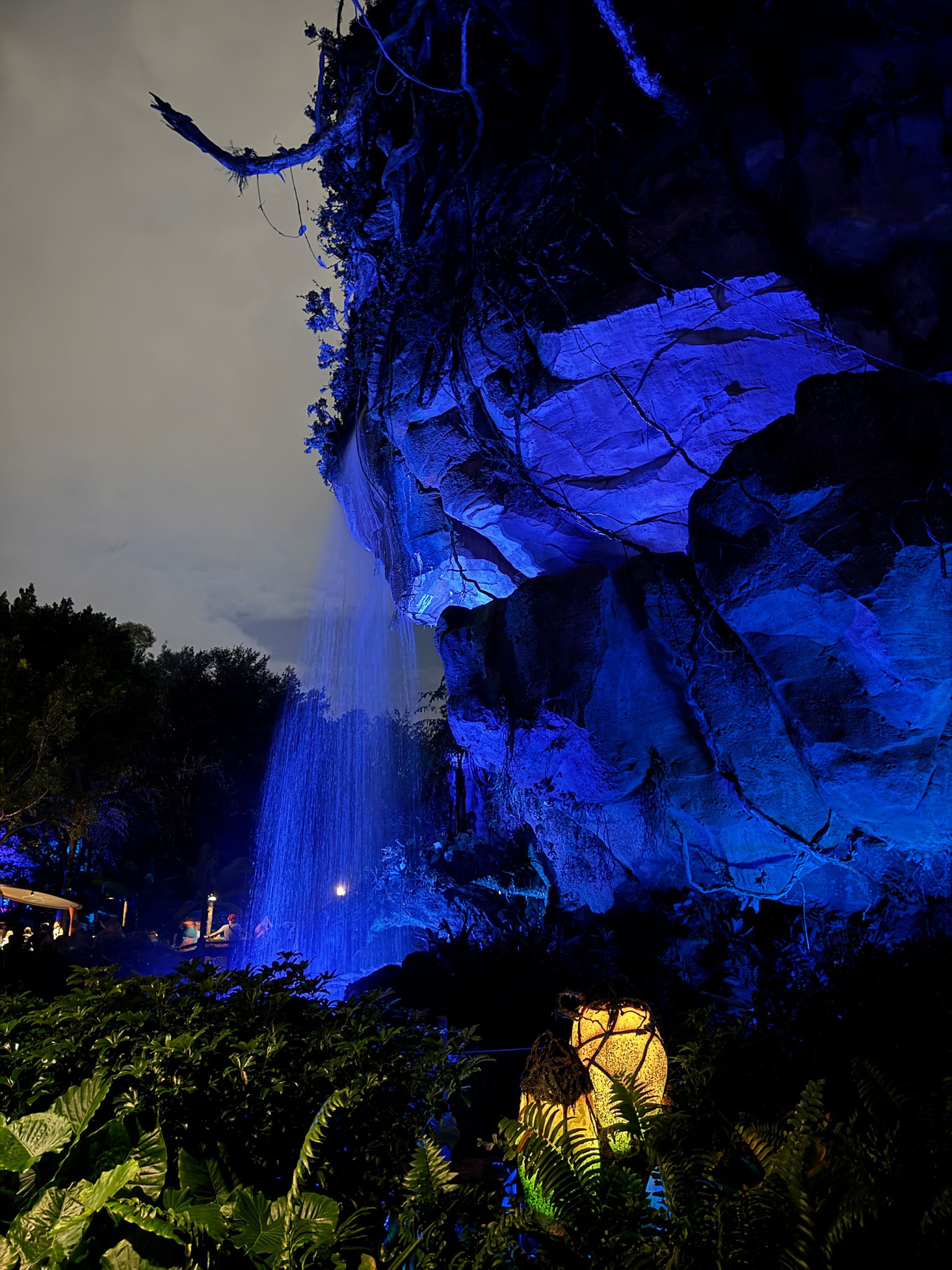 Web-WDW-07-060.jpg