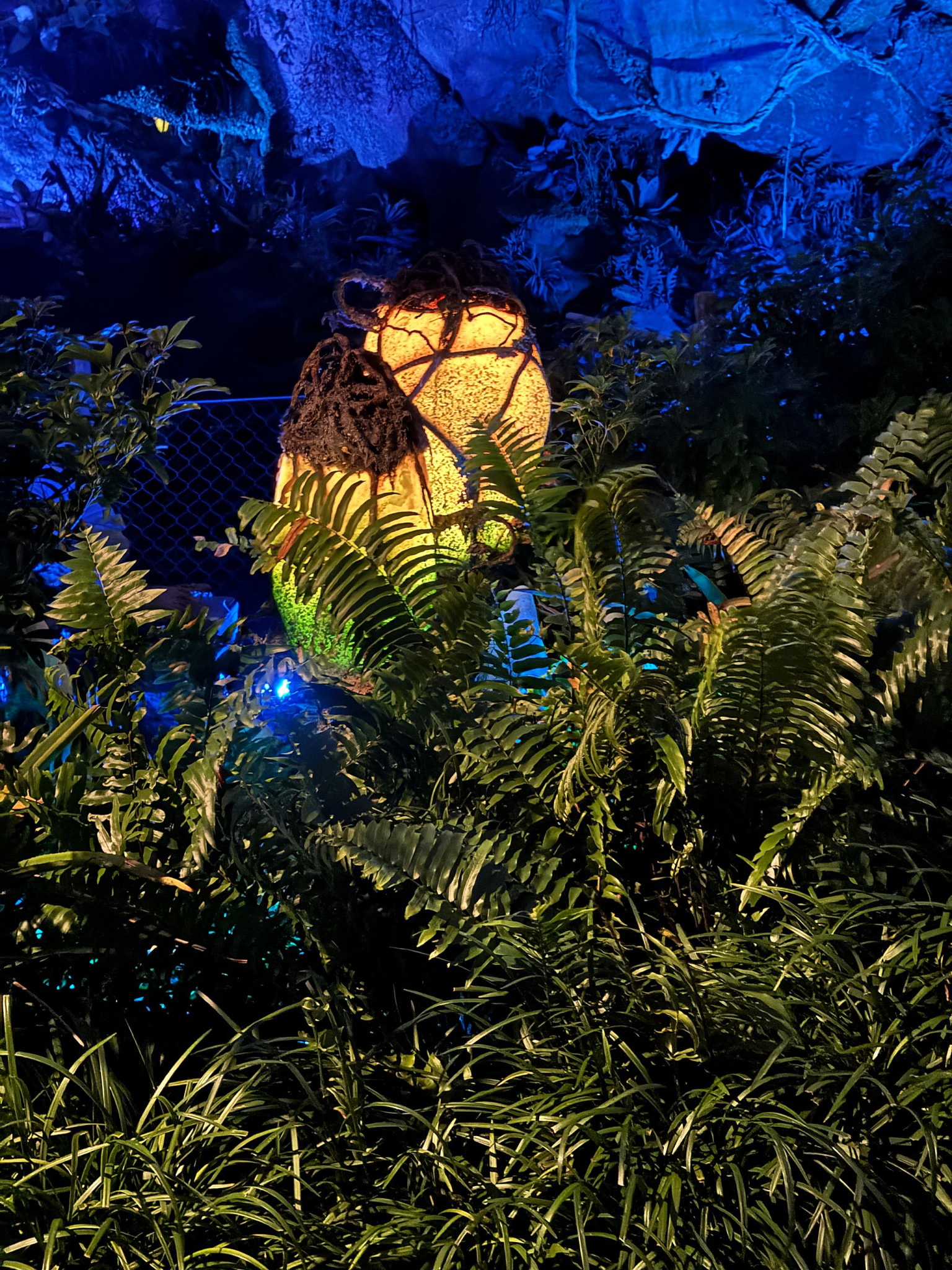 Web-WDW-07-062.jpg