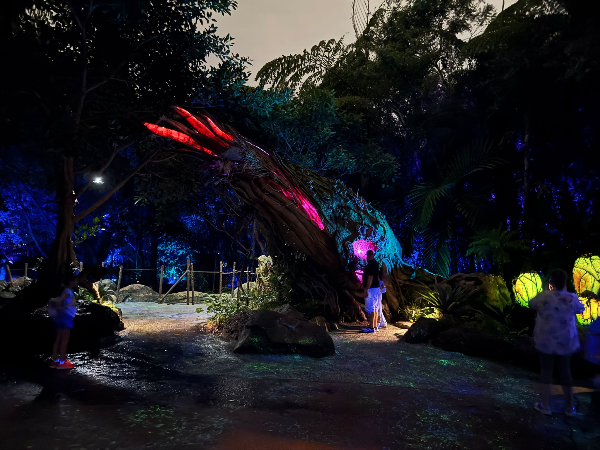 Web-WDW-07-068.jpg