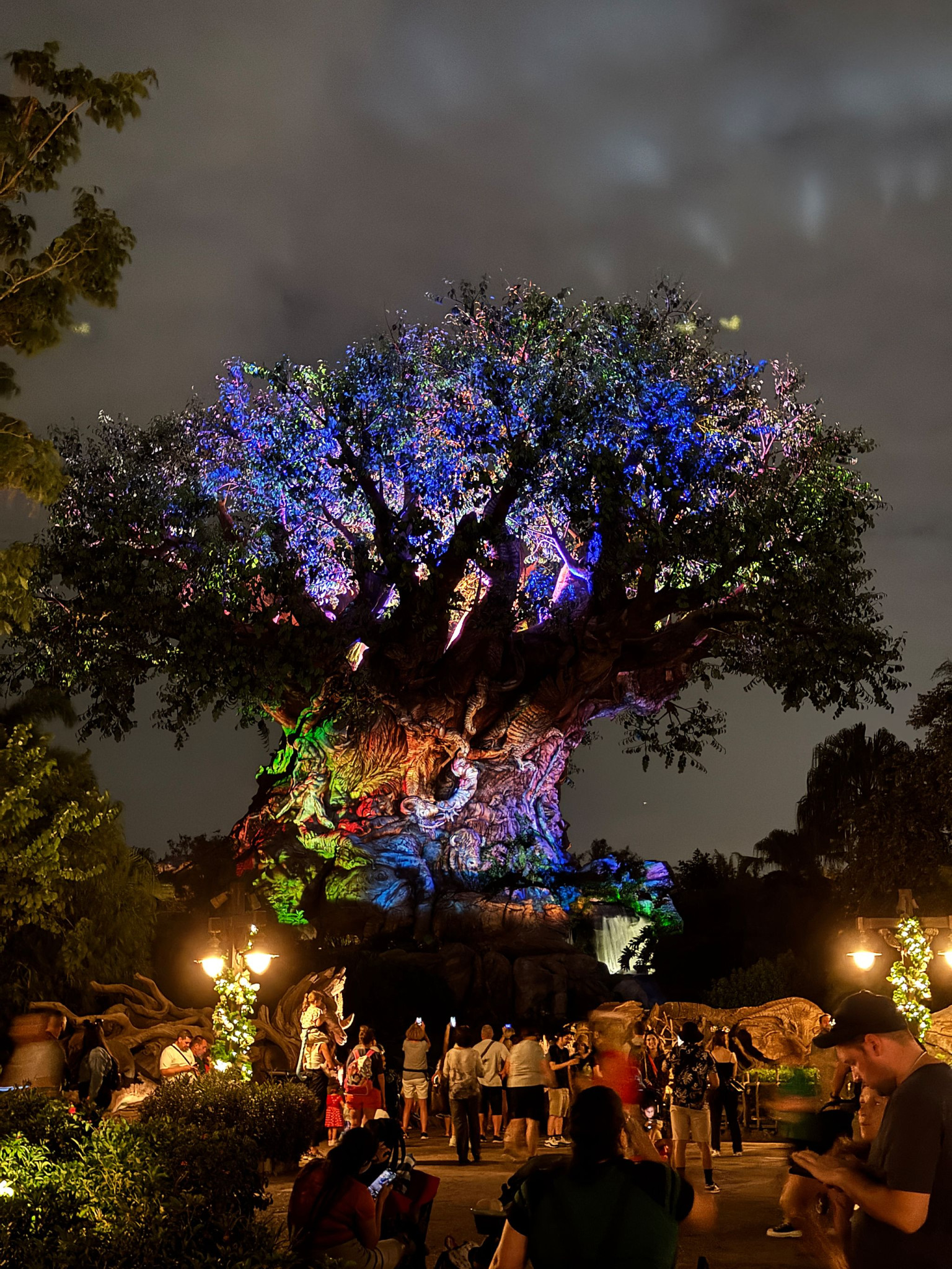 Web-WDW-07-071.jpg