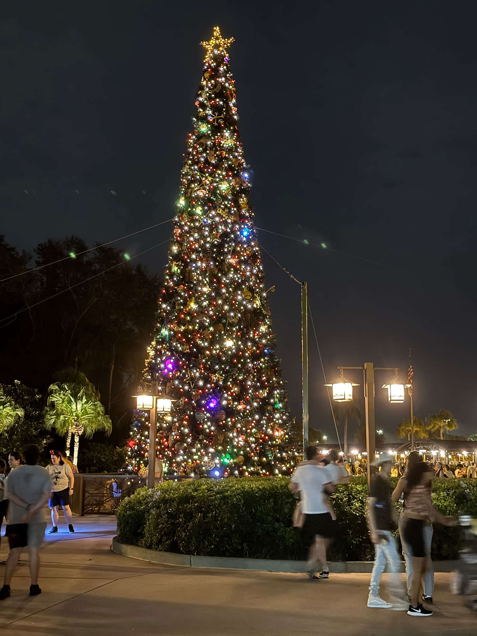 Web-WDW-07-072.jpg