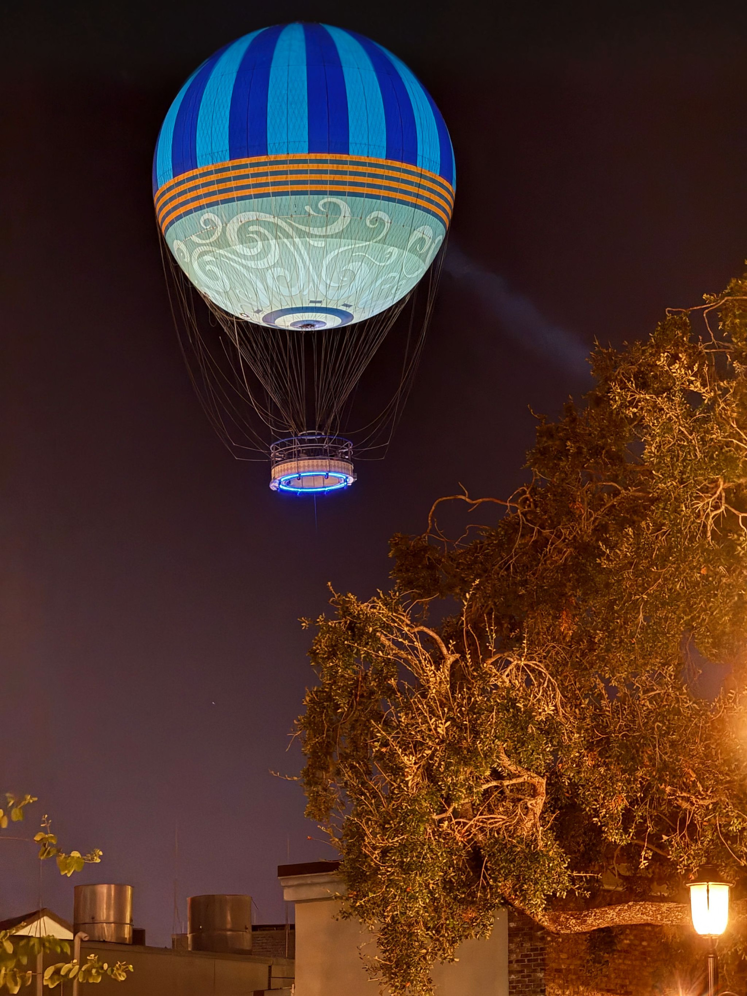 Web-WDW-08-024.jpg
