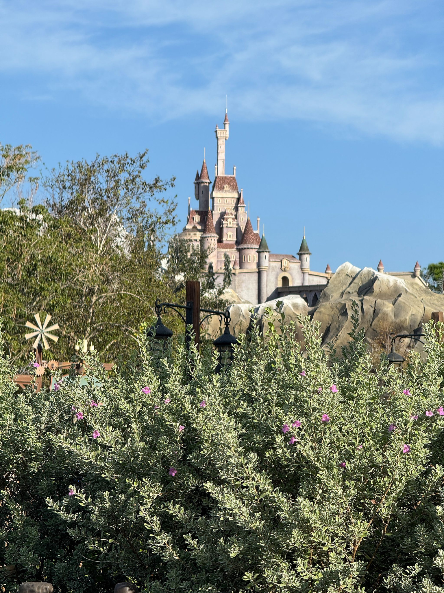 Web-WDW-09-019.jpg