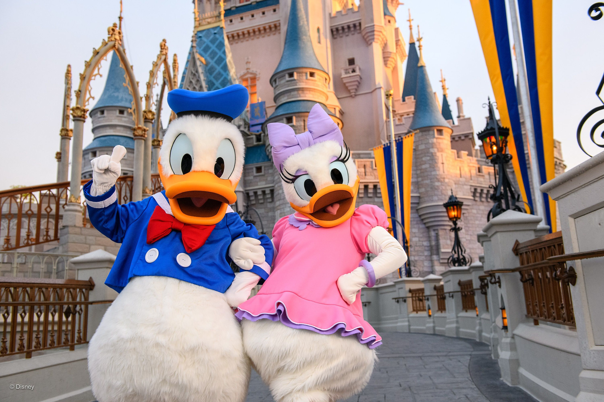 Web-WDW-09-039.jpg
