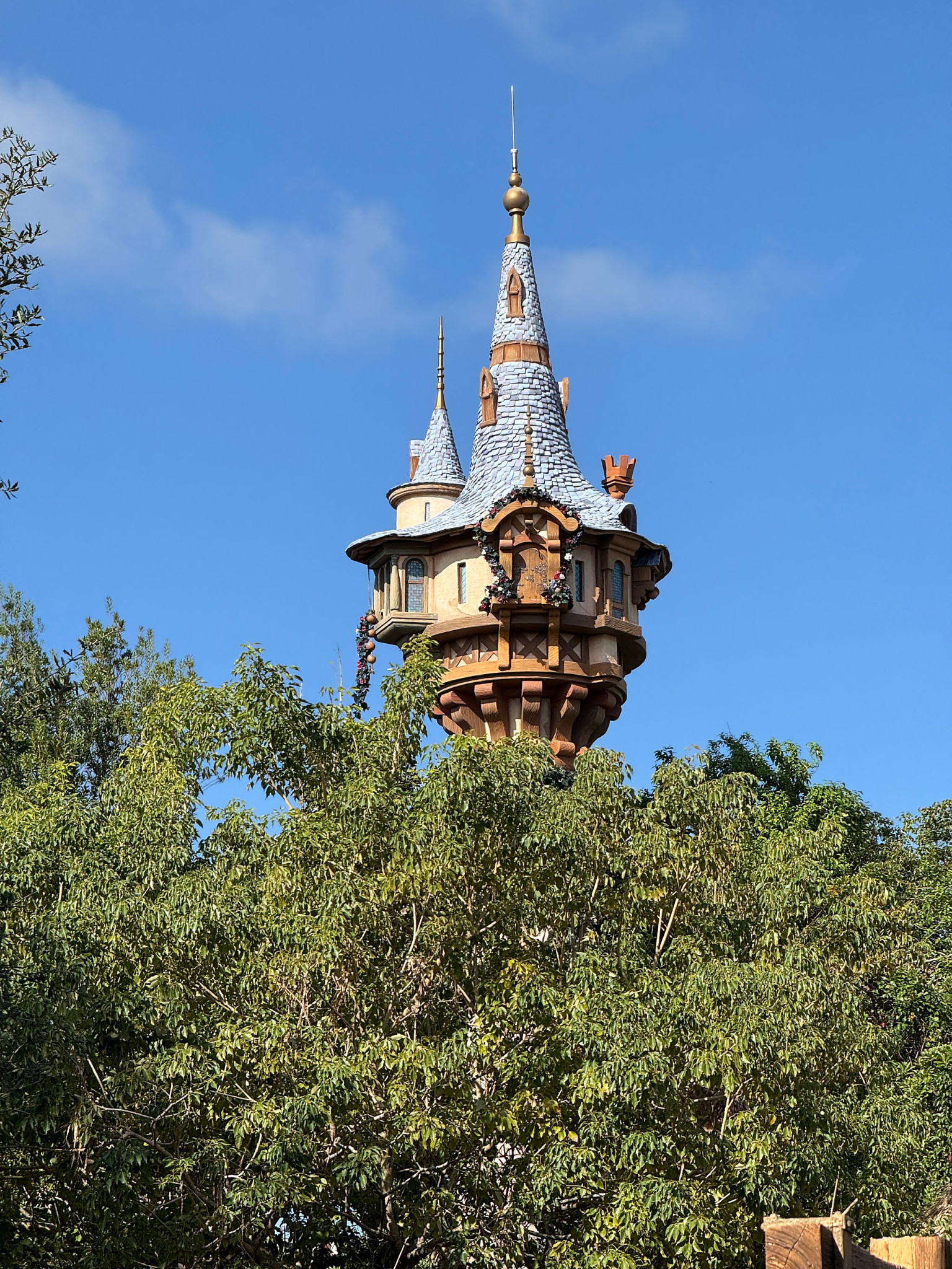 Web-WDW-09-046.jpg