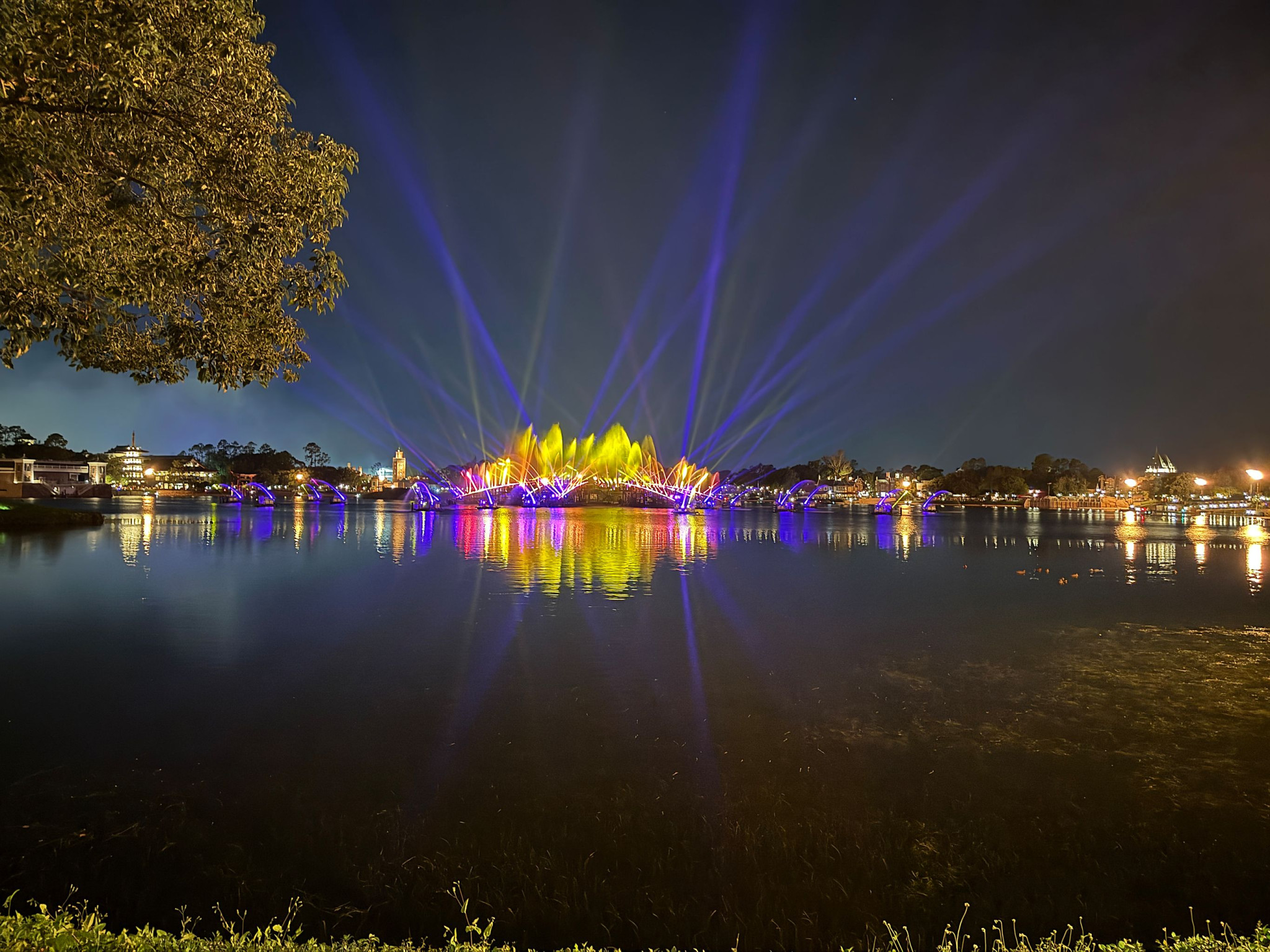 Web-WDW-09-123.jpg