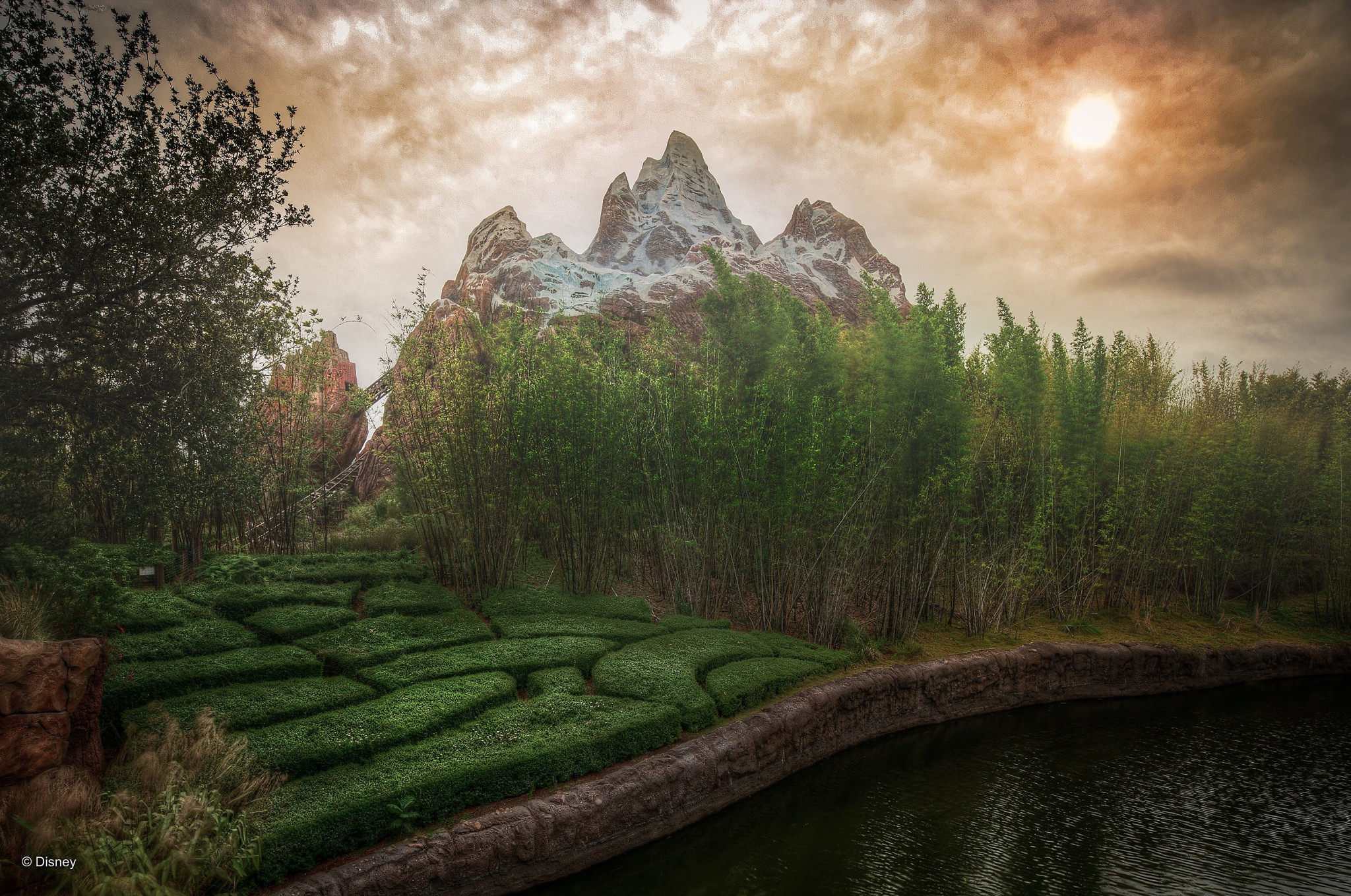 Web-WDW-10-001.jpg