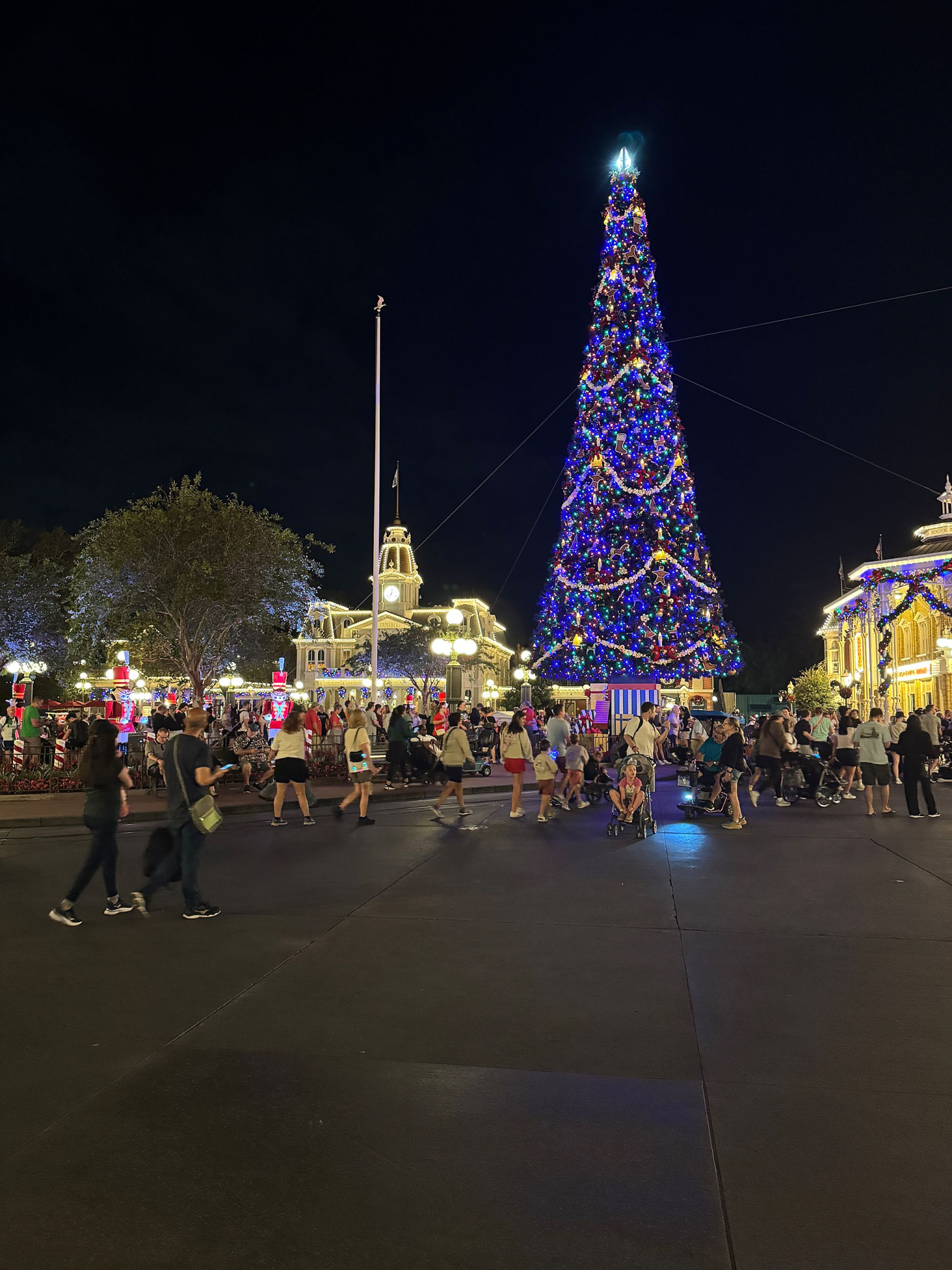 Web-WDW-10-030.jpg