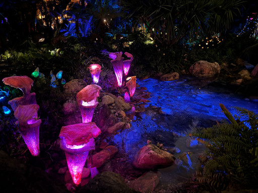 2024 - Walt Disney World